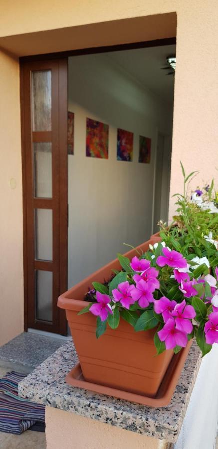 Apartmani Zem, Krk Krk Town Exterior photo